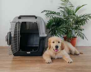 Picture for category Accessories and Specialty Products